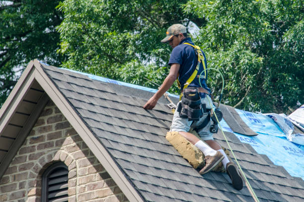 Best Metal Roofing Contractor  in Waterman, IL